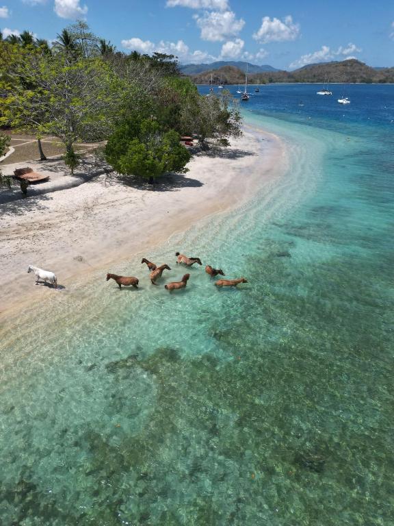 Gili Asahan